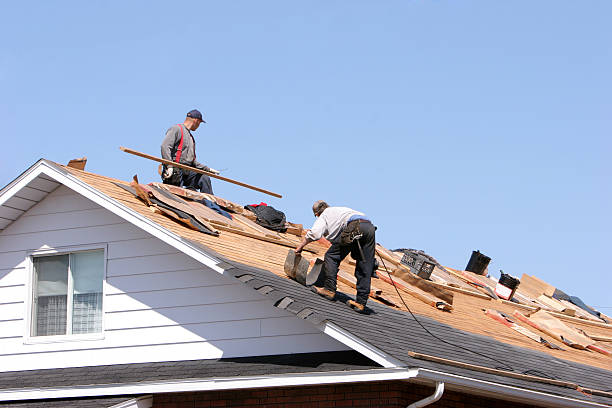 Best Roof Ventilation Installation  in Oakland Park, FL